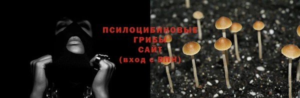 mdpv Гвардейск