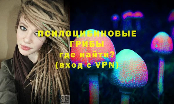 ГАЛЛЮЦИНОГЕННЫЕ ГРИБЫ Алзамай