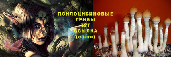ГАЛЛЮЦИНОГЕННЫЕ ГРИБЫ Алзамай