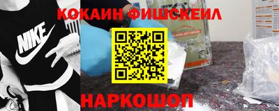 индика Гатчина