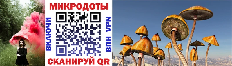 mega рабочий сайт  Междуреченск  Галлюциногенные грибы ЛСД  купить закладку 