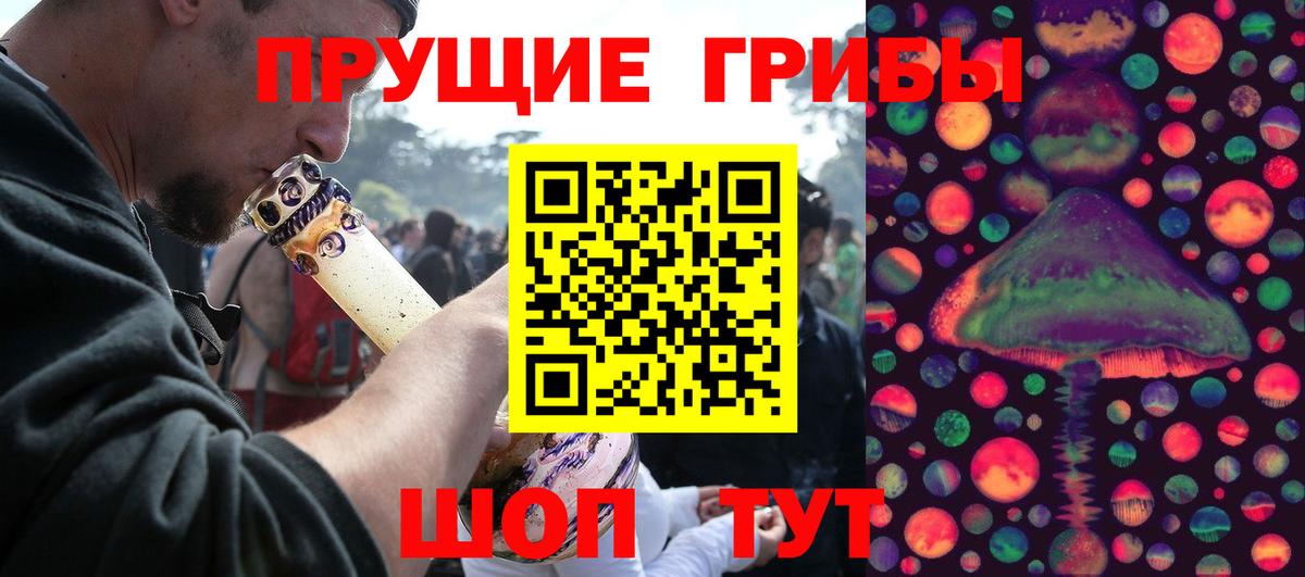 Галлюциногенные грибы Cubensis Междуреченск