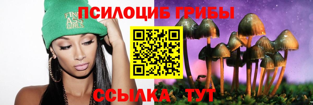 Галлюциногенные грибы мухоморы  Псилоцибиновые грибы ЛСД  Междуреченск  Вход с VPN 